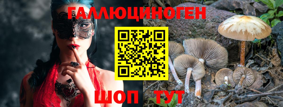Галлюциногенные грибы прущие грибы  Галлюциногенные грибы ЛСД  Вход с VPN  Куйбышев 