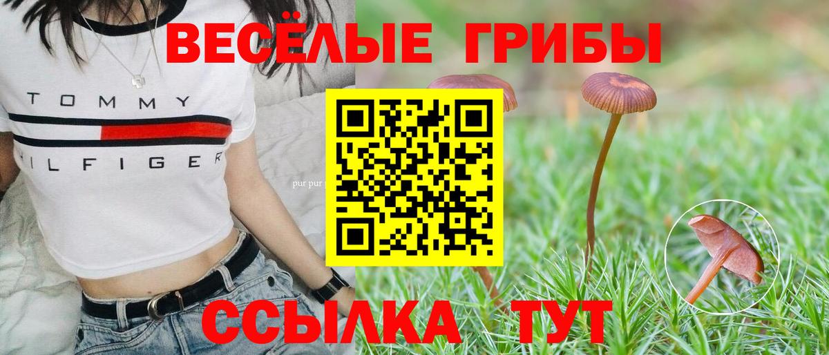 Галлюциногенные грибы мицелий Куйбышев